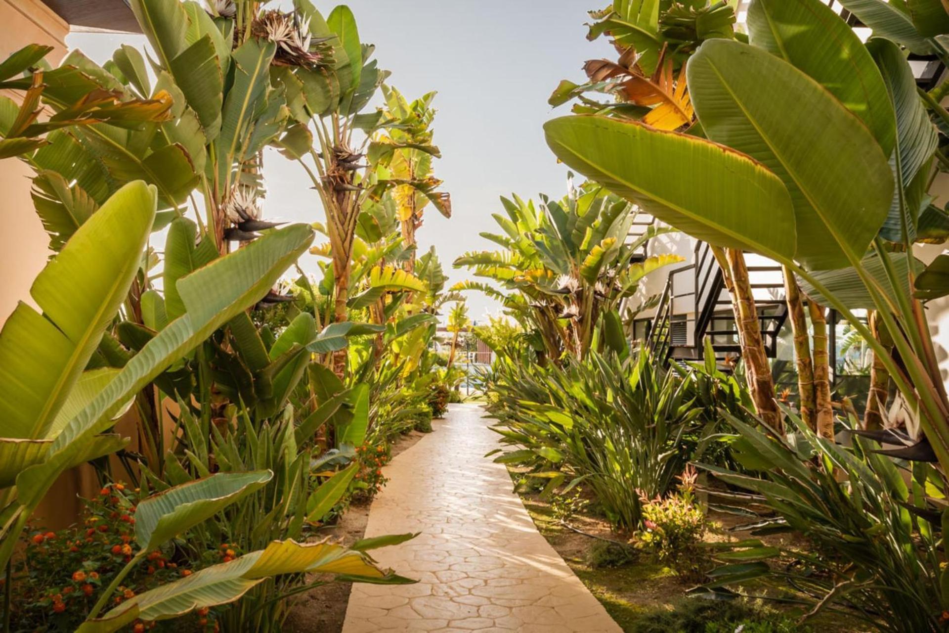 Alegria Palacio Mojacar - Adults Only Dış mekan fotoğraf